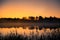 A beautiful sunrise on a lake with a raising mist. Beautiful morning in wetlands in Latvia.