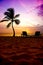 Beautiful sunrise on the ocean coast, palm tree and sun loungers.
