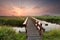 Beautiful sunrise over bike bridge in farmland