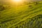 Beautiful sunrise over the Jatiluwih Rice Terraces