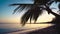 Beautiful sunrise over the tropical beach and exotic palm tree