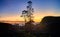 Beautiful sunrise rural village in Pattipola landscape photograph, Silhouetted tall trees, and mountain. Colorful gradient bright