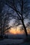 Beautiful sunrise seen through riped branches