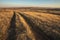 Beautiful Sunrise in the steppe over dirt road.