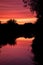 beautiful sunset in autumn season. trees silhouette near a river