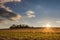 Beautiful sunset in autumnal landscape with pastures