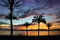 Beautiful sunset on the beach among palm trees, El Arenal, Balearic Islands, Majorca Mallorca, Spain.