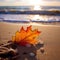 Beautiful Sunset Beach Scene With Leaf And Seashells