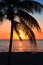 Beautiful sunset on the beach, sun goes down to the sea. Palm on the bayshore. Calm ambient, rest and relaxation concept. Stunning