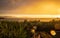 Beautiful sunset at Bellingham Bay, Washington. Golden hour ocean view