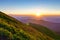 Beautiful sunset in Carpathians mountains. Blooming rhododendron on slope in evening