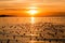 Beautiful of sunset with cloud sky and seagulls over the sea