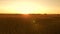 Beautiful sunset with the countryside over a field of wheat. ripe wheat ears in field. sun illuminates the wheat crops