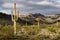 Beautiful sunset desert view is from the McDowell Sonoran Preserve in Scottsdale, Arizona.