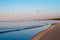 Beautiful sunset with flock of seagulls flying over the sea, Jurmala, Latvia