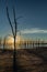 Beautiful sunset in the flooded city of Epecuen.