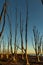 Beautiful sunset in the flooded city of Epecuen.