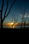 Beautiful sunset in the flooded city of Epecuen.