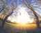 Beautiful sunset on a green meadow among willows