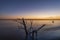 Beautiful sunset on the lake. The old tree stump on the shore, long exposure water.