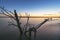 Beautiful sunset on the lake. The old tree stump on the shore, long exposure water.