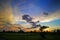 Beautiful sunset landscape over a plain wild grass field and a forest on background