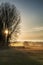 Beautiful sunset landscape shining through trees onto beautifully lit glowing fields