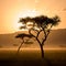 Beautiful Sunset in Massai Mara