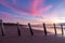 A beautiful sunset at moana beach with the wooden posts seperating the beach in South Australia on 8th November 2018