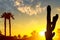 A beautiful sunset with orange and yellow colors in the sky the Mountains and palm trees in silhouette with saguaro