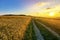 Beautiful sunset over countryside dirt gravel road and ripe wheat fields