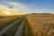 Beautiful sunset over countryside dirt gravel road and ripe wheat fields