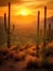 Beautiful sunset over desert, with cacti and mountains in background. The setting is serene and picturesque, as sun