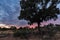 Beautiful sunset over Guijo de Galisteo, Extremadura, Spain