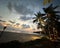 Beautiful sunset over the sea overlooking palm trees on white beach in Caribbean island of Barbados