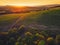 Beautiful Sunset over vineyard fields in Europe, aerial view