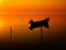 Beautiful sunset over water and silhouette fishing boat