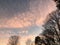 Beautiful Sunset, Pink Clouds, Autumn Trees with Bare Branches