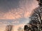 Beautiful Sunset, Pink Clouds, Autumn Trees with Bare Branches