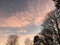 Beautiful Sunset, Pink Clouds, Autumn Trees with Bare Branches