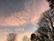 Beautiful Sunset, Pink Clouds, Autumn Trees with Bare Branches