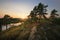 Beautiful sunset rays of sun with clear nordic nature, pine trees on rock in North Europe, Baltic sea, gulf of Finland