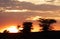 Beautiful sunset scene at Masai Mara, Kenya