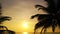 Beautiful sunset with silhouette palm trees on the Phuket beach scenery view Phuket travel destination at tropical island vacation