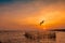 Beautiful sunset sky and clouds over the sea. Bird flying near abundance mangrove forest. Mangrove ecosystem. Good environment.