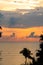 Beautiful sunset sky on the sea with silhouette trees. Morning sunrise on the beach of Desaru Coast, Malaysia