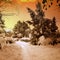 Beautiful sunset in snowy woods