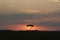 Beautiful sunset or sundown at the heart of African Savanna the famous Masai Mara