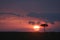 Beautiful sunset or sundown at the heart of African Savanna the famous Masai Mara