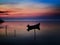 Beautiful sunset/sunrise over water and silhouette fishing boat